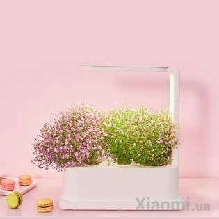 Интеллектуальный экологический плантатор Xiaomi Tiny Green 3 pcs