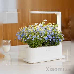 Интеллектуальный экологический плантатор Xiaomi Tiny Green 3 pcs