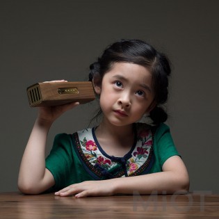 Bluetooth-колонка Xiaomi TONGSHIFU Wood Bluetooth Speaker (9008728)