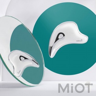 Інтелектуальний мікрострумовий масажер Xiaomi WellSkins BJ808