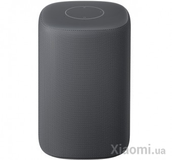 Bluetooth динамик Xiaomi XiaoAi HD XMYX01JY Dark Gray