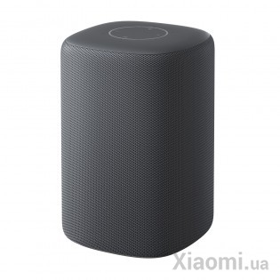 Bluetooth динамик Xiaomi XiaoAi HD XMYX01JY Dark Gray