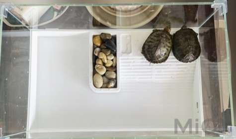Терраріум Xiaomi YEE Brand Split Combination Glass Turtle Tank
