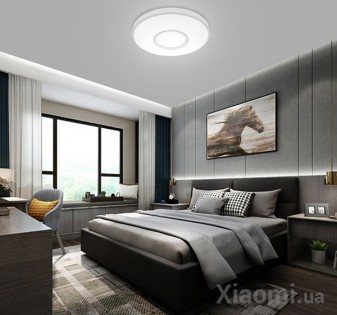 Потолочный смарт-светильник Xiaomi Yeelight Decora Ceiling Light Mini 350mm 24W 2700-6000К White (YLXD25YL) (YLXD2502CN)