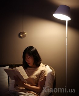 Умный торшер Xiaomi Yeelight YLLD01YL