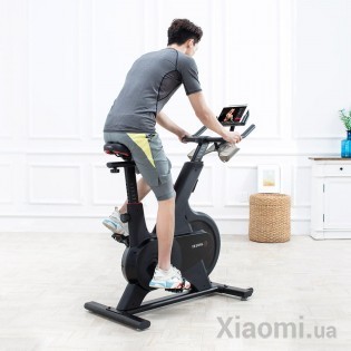 Велотренажер Xiaomi YESOUL M1 Black