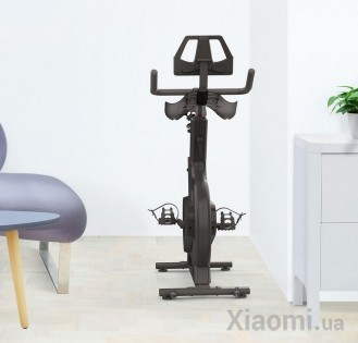 Велотренажер Xiaomi YESOUL M1 Black