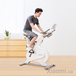 Велотренажер Xiaomi YESOUL M1 Pro White YS-002