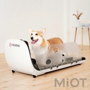 Бігова доріжка для тварин Xiaomi YESOUL Smart Pet Treadmill Q1