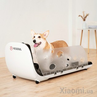 Беговая дорожка для животных Xiaomi YESOUL Smart Pet Treadmill Q1