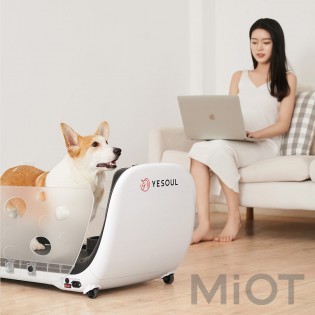 Бігова доріжка для тварин Xiaomi YESOUL Smart Pet Treadmill Q1