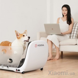 Беговая дорожка для животных Xiaomi YESOUL Smart Pet Treadmill Q1