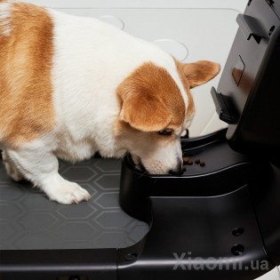 Беговая дорожка для животных Xiaomi YESOUL Smart Pet Treadmill Q1