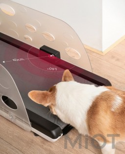 Бігова доріжка для тварин Xiaomi YESOUL Smart Pet Treadmill Q1