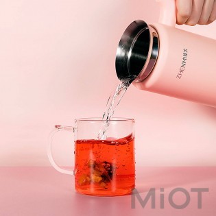 Блендер Xiaomi ZHENMI P1 300ml Pink