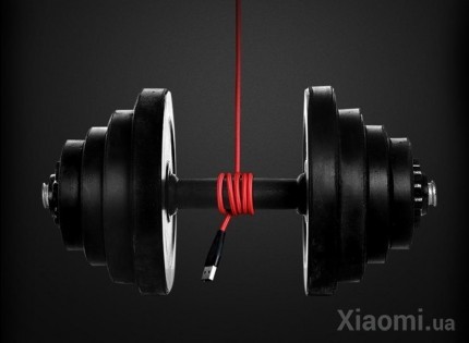 Кабель Xiaomi ZMi AL886 USB Cable 2m Red