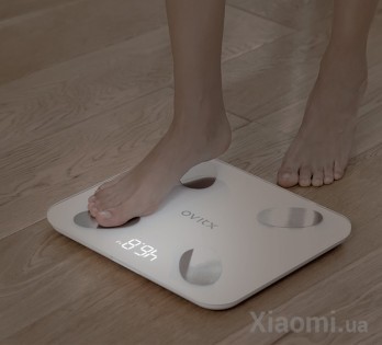 Весы напольные электронные Xiaomi XQIAO Body Fat Scale L1 White