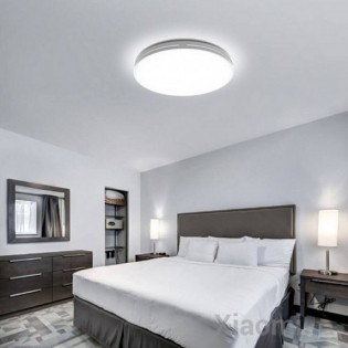 Потолочный смарт-светильник Xiaomi Yeelight Aura Ceiling Light Mini 350mm 24W 2700-6000K (YLXD31YL)