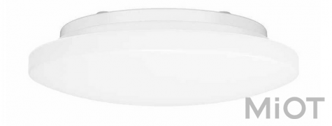 Стельовий світильник Xiaomi Yeelight Ceiling Light 260mm (Smart version) 10W 6500K (YLXD62YI)