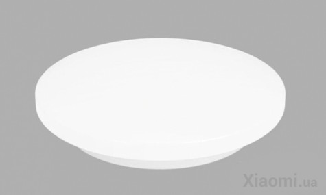 Потолочный светильник Xiaomi Yeelight Ceiling Light 260mm (Smart version) 10W 6500K (YLXD62YI)
