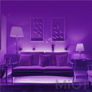 Світлодіодна стрічка та керуючий блок Xiaomi Yeelight LED Lightstrip Plus 1S RGB Wi-Fi 2м (up to 10m) (YLDD05YL)