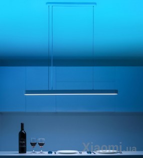 Потолочный смарт-светильник Xiaomi Yeelight Crystal Pendant Light (Meteorite) 900mm 33W 2700-6000K (YLDL01YL/YLDL011GL)