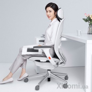 Кресло Xiaomi YueMi YMI Ergonomic Chair White (RTGXY01YM)