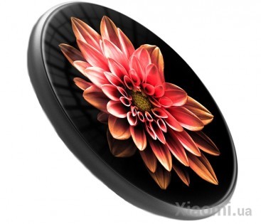 Беспроводное зарядное устройство Xiaomi ZMI WTX10 Wireless Charger Custom style Black