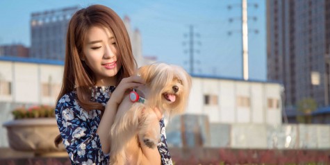 Повідок Xiaomi Amazpet Dog Strip 18-23x1 Pink